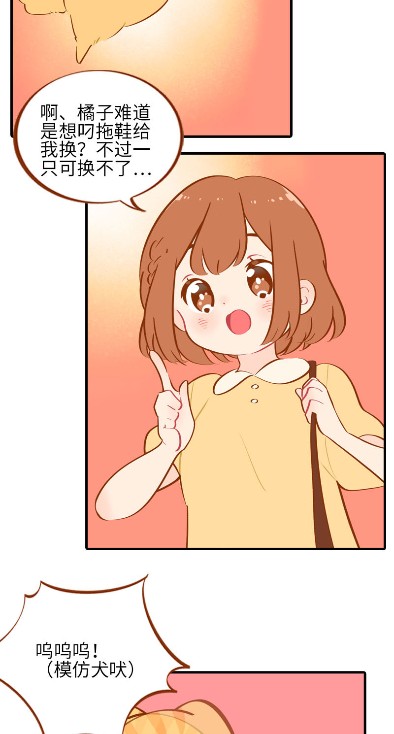 第40话 养狗一日体验5