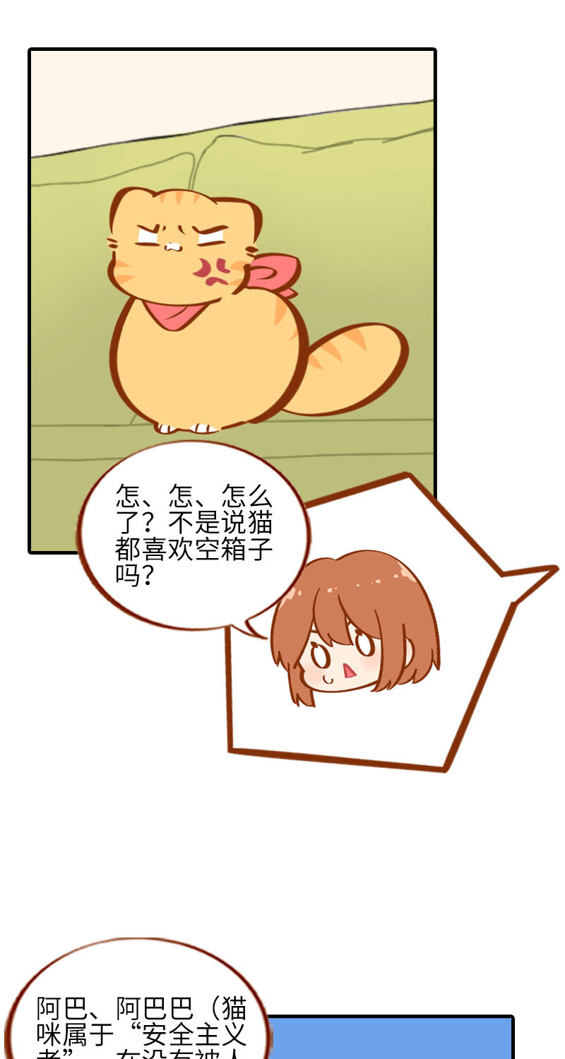 第32话 橘子来拆礼物了！7