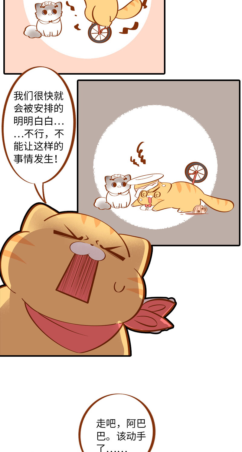 第4话 差点去猫咖打工7