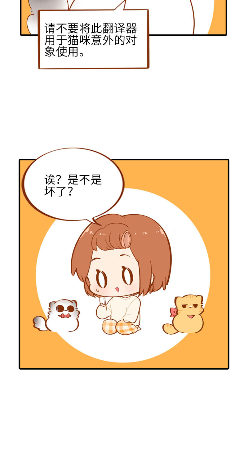 第53话 猫咪翻译机10