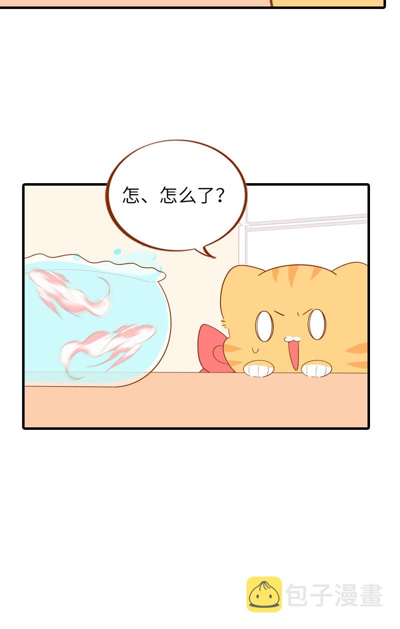 第57话 谁还吃观赏鱼啊~6