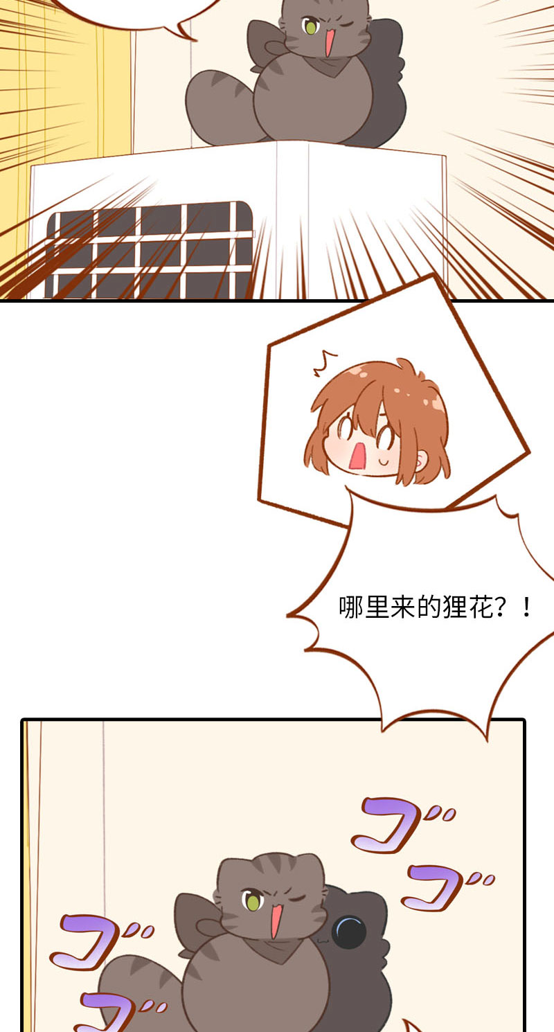 第58话 橘子和阿巴巴风格转换！9