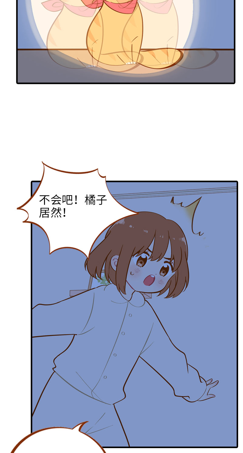 第12话 橘子低头9