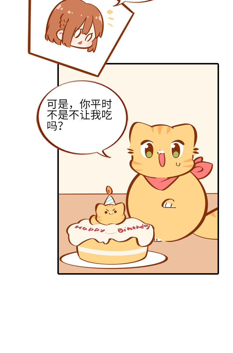 第33话 许个愿吧~6