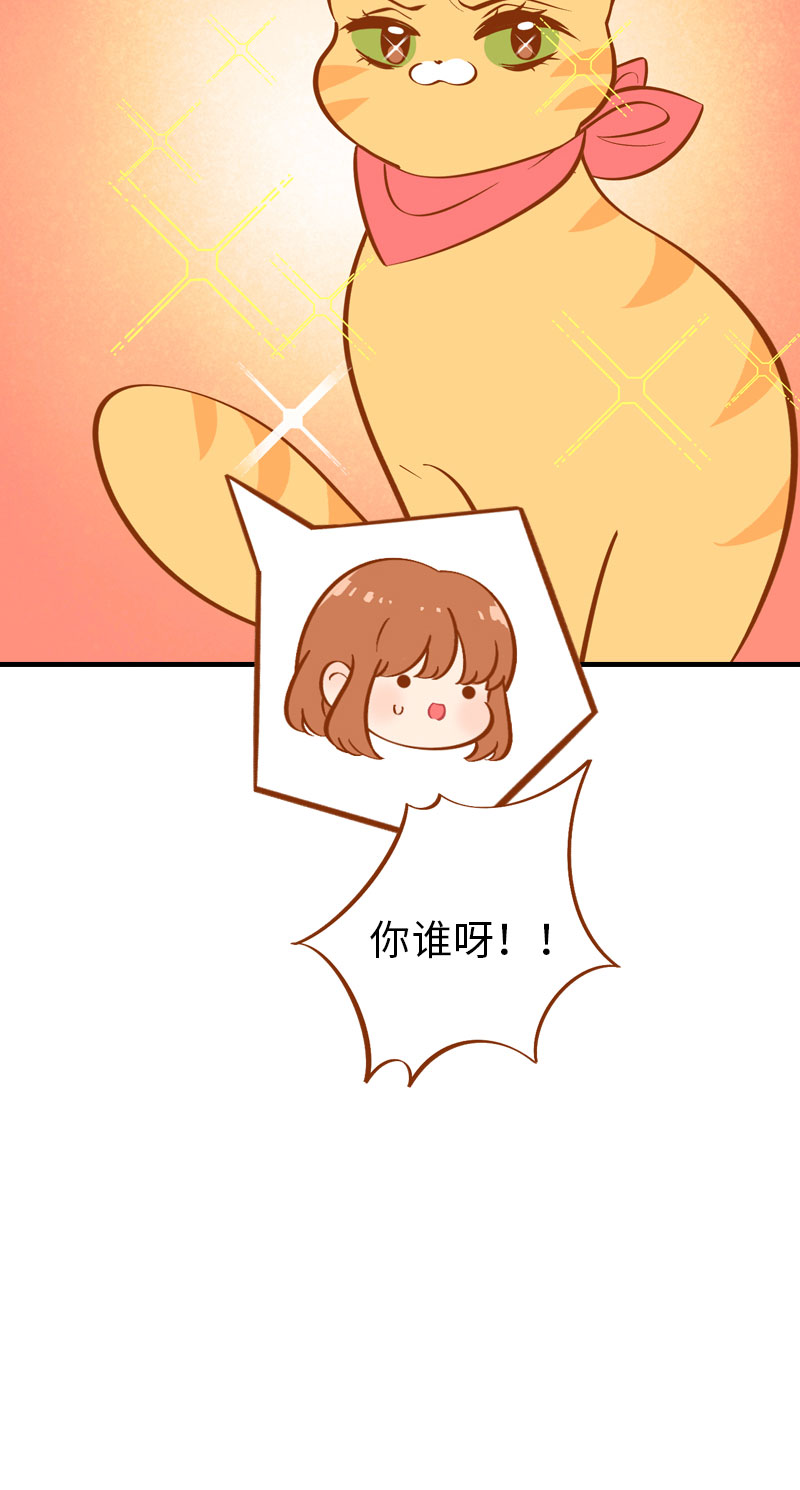 第6话 Tony橘开始洗头14