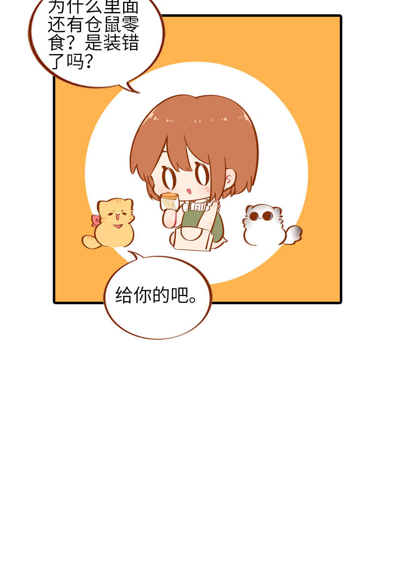 第42话 我又回来了10