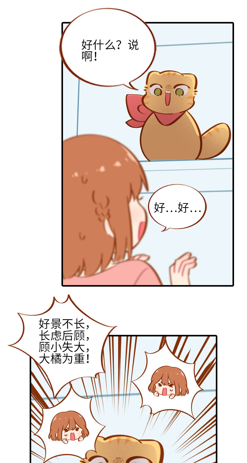 第35话 橘子和阿巴巴的初次见面7