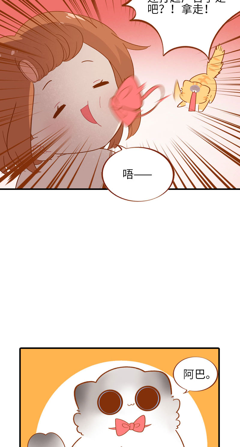 第53话 猫咪翻译机9