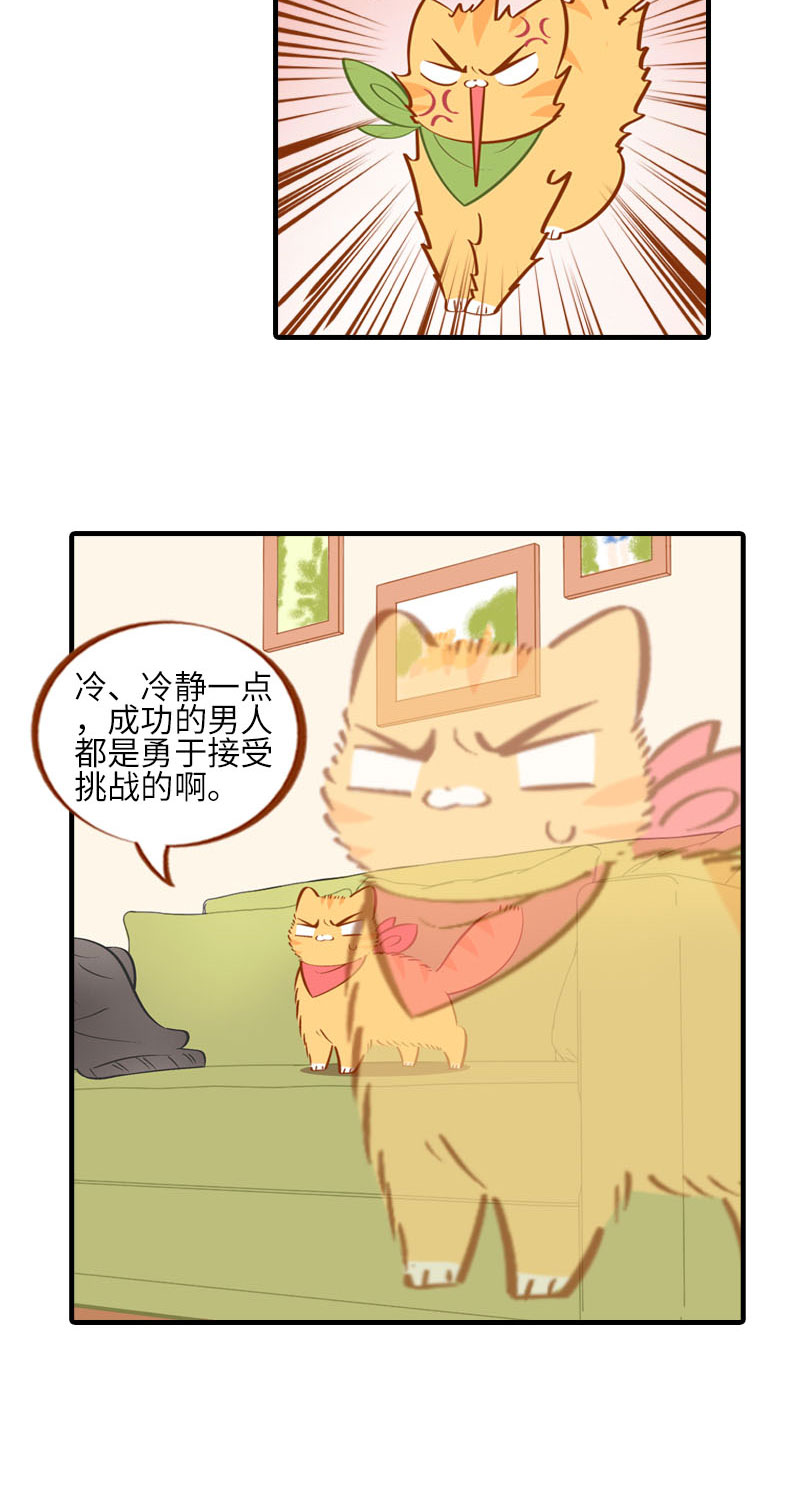 第16话 猫咪的冬季限定-爆毛5