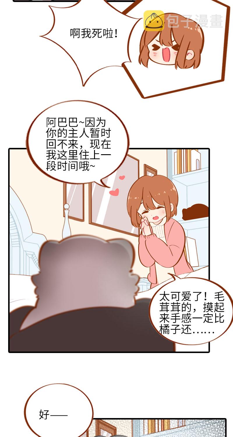 第35话 橘子和阿巴巴的初次见面5