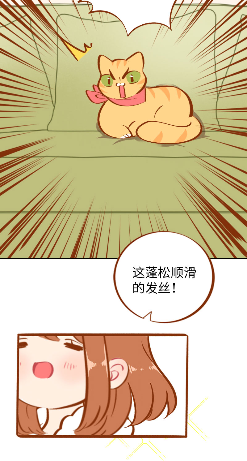 第6话 Tony橘开始洗头12