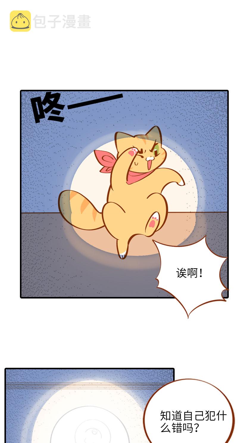 第12话 橘子低头1