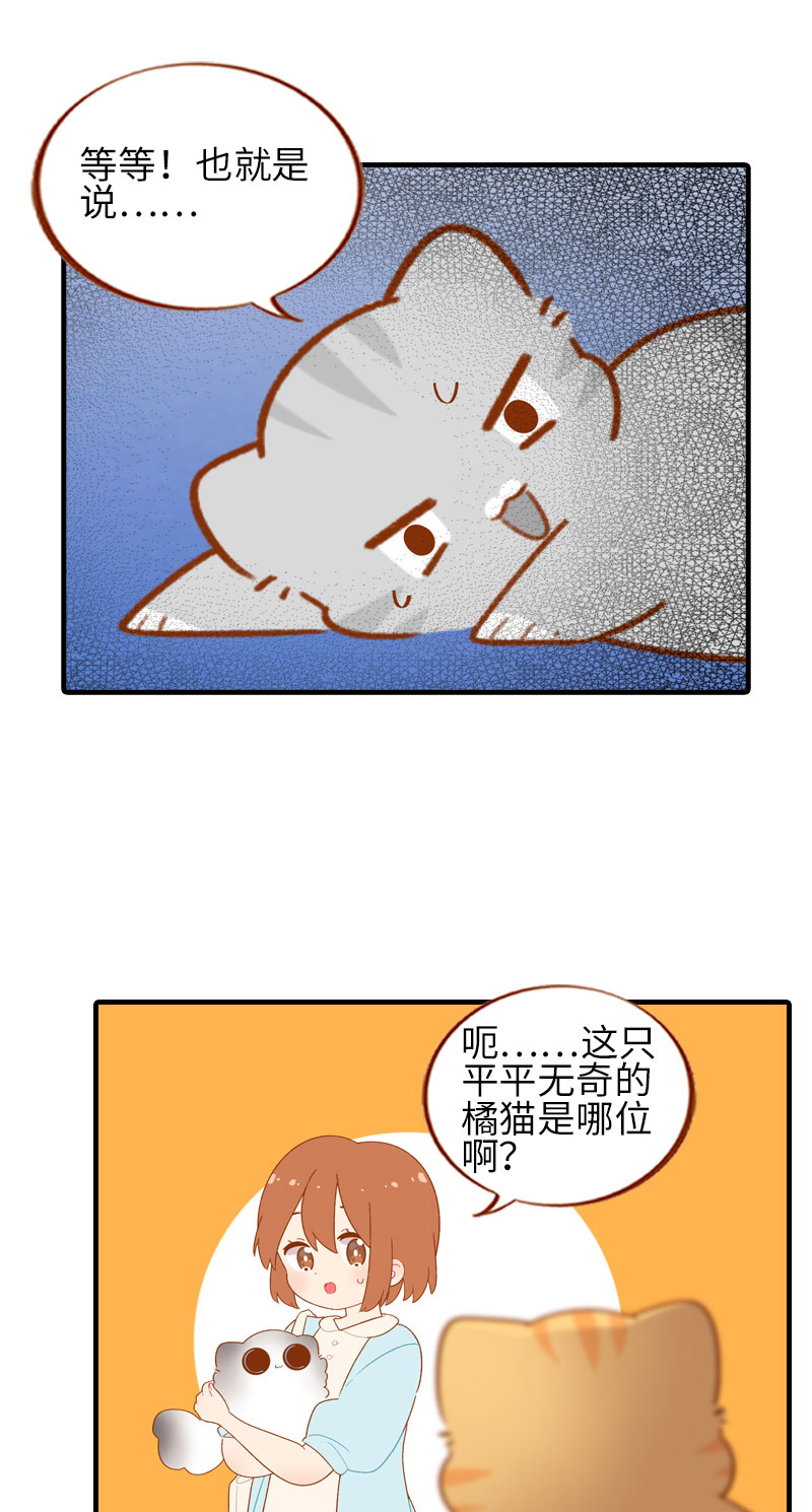 第50话 以爲自己被抛弃的橘子7