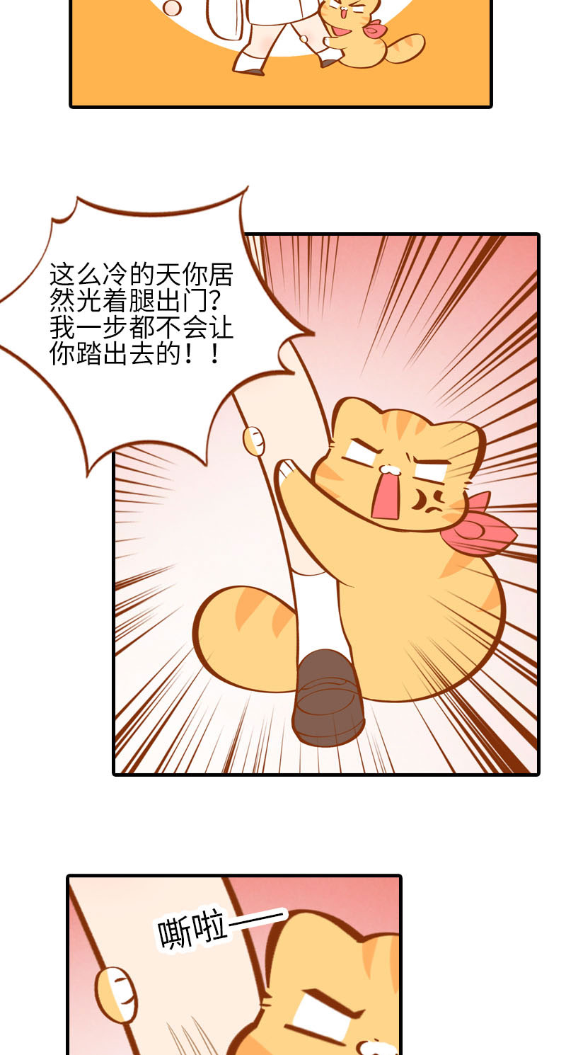 第23话 光腿神器5