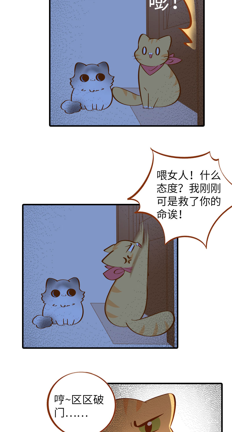 第11话 太好了你还活着！5