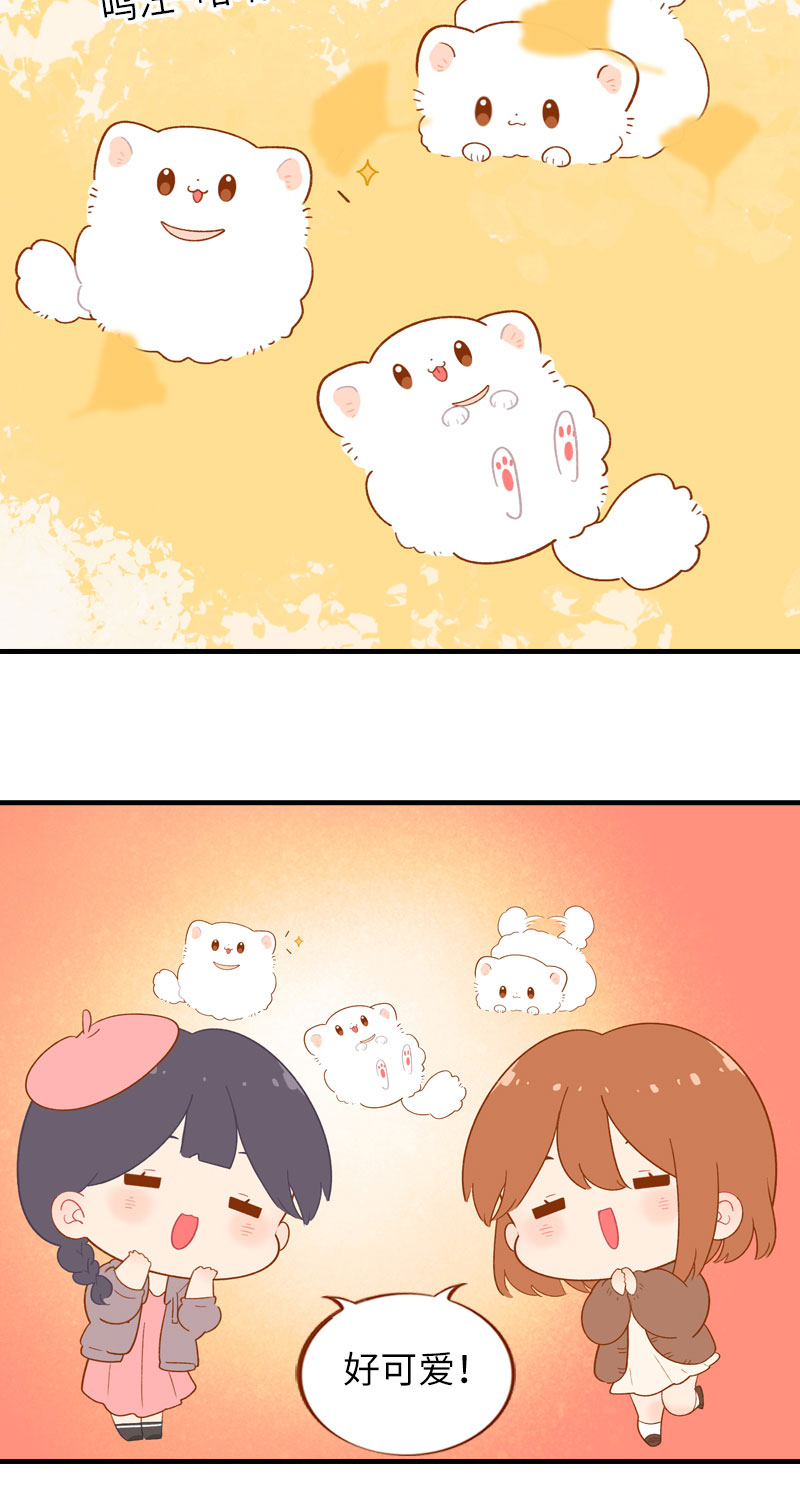 第47话 与雪球的第一次相遇5
