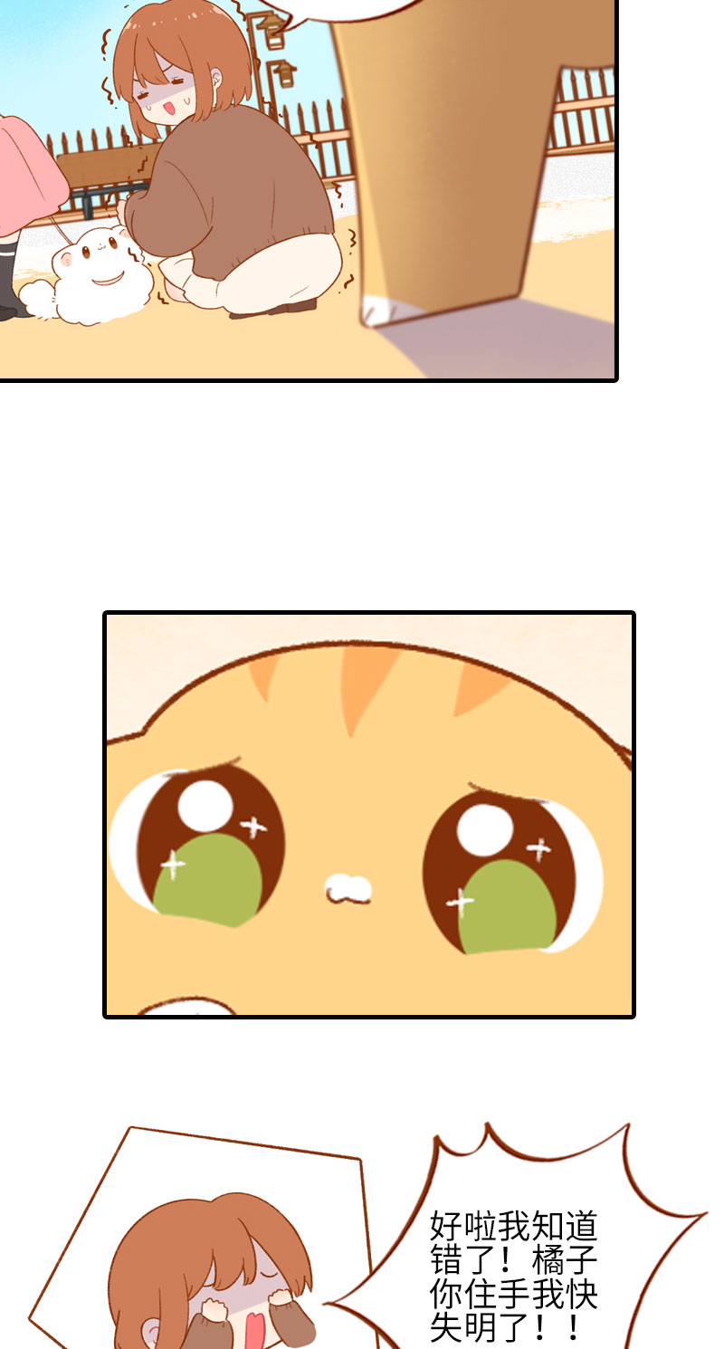 第47话 与雪球的第一次相遇9