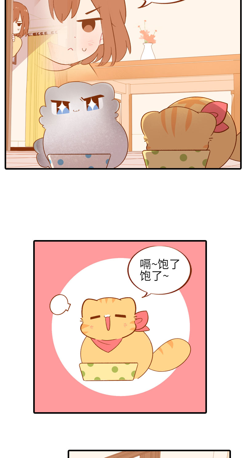 第46话 来一口猫薄荷3