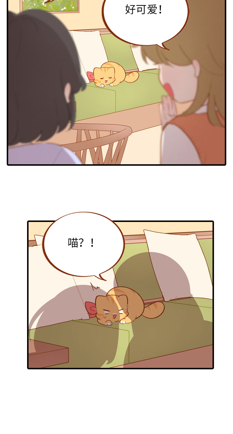 第49话 橘子的本体5