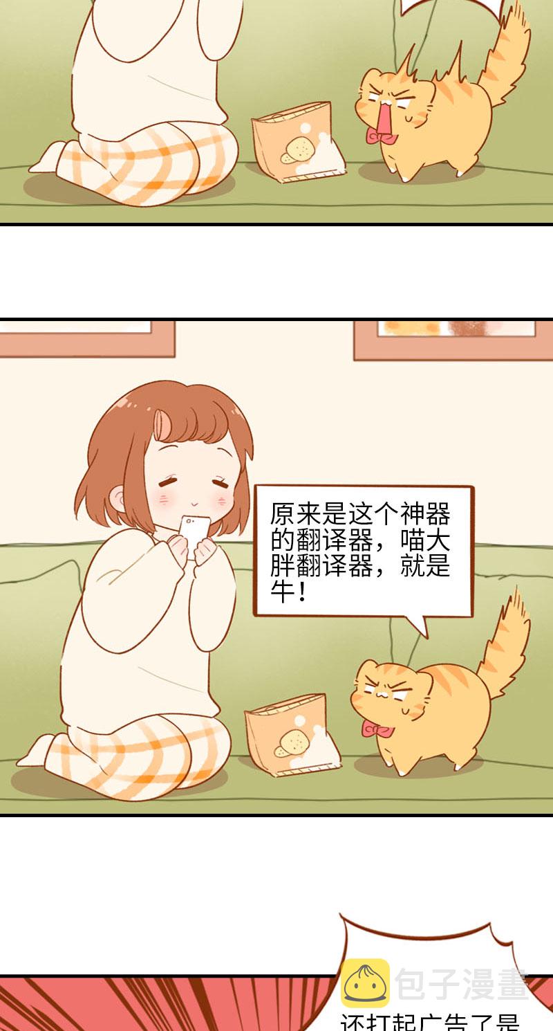 第53话 猫咪翻译机8