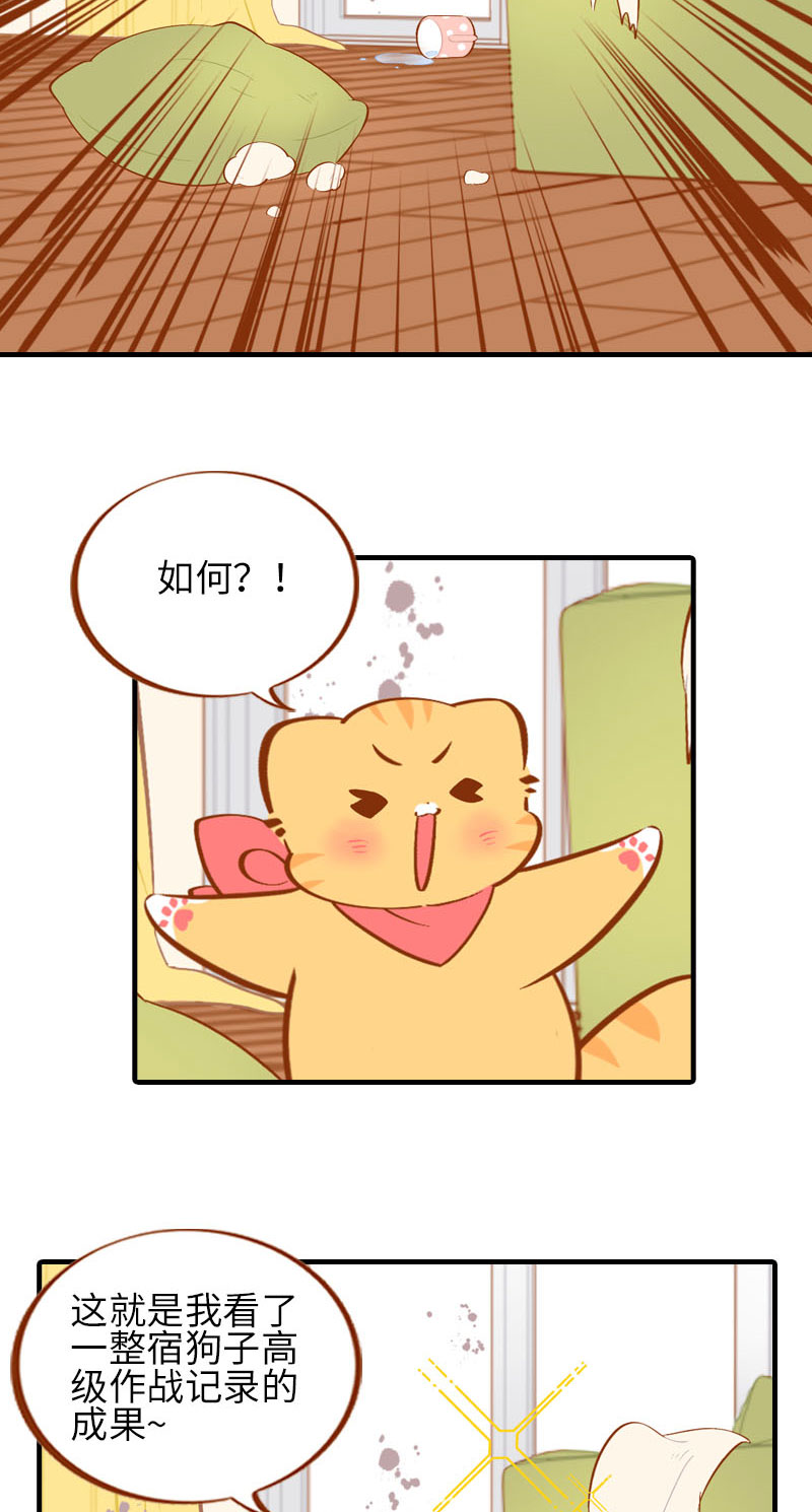 第40话 养狗一日体验9