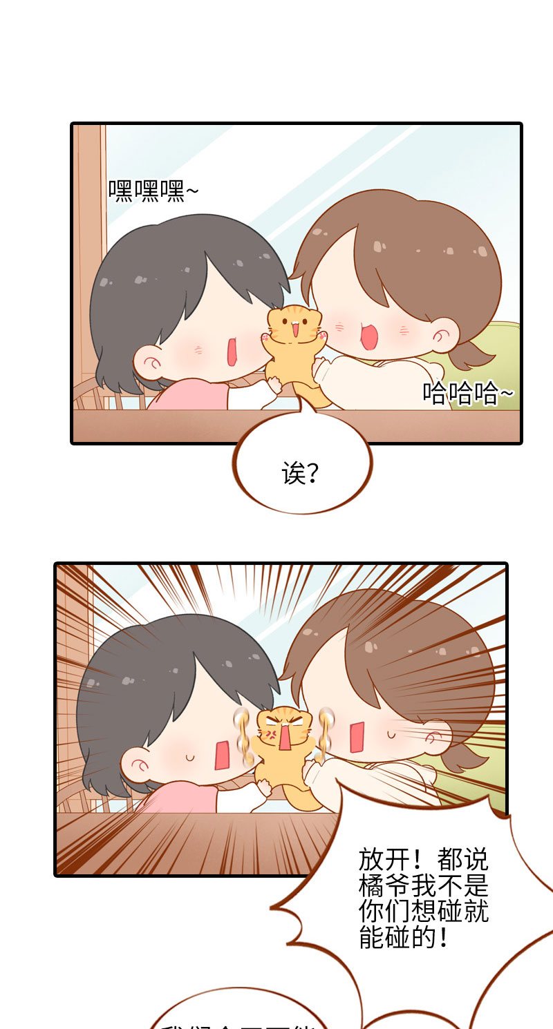 第51话 橘爷我不会被命运打败！8