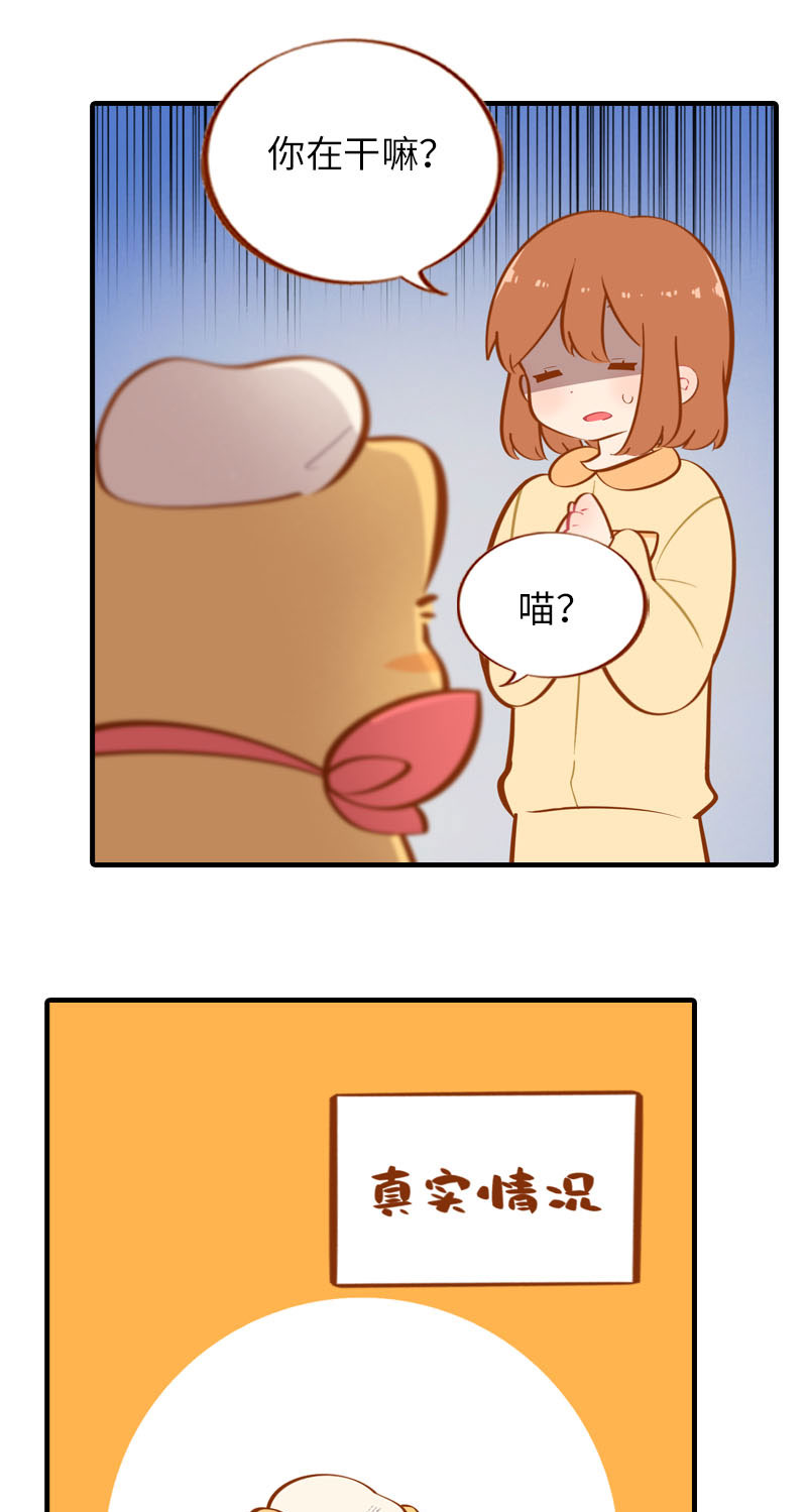 第31话 猫咪搓脚？安排！7