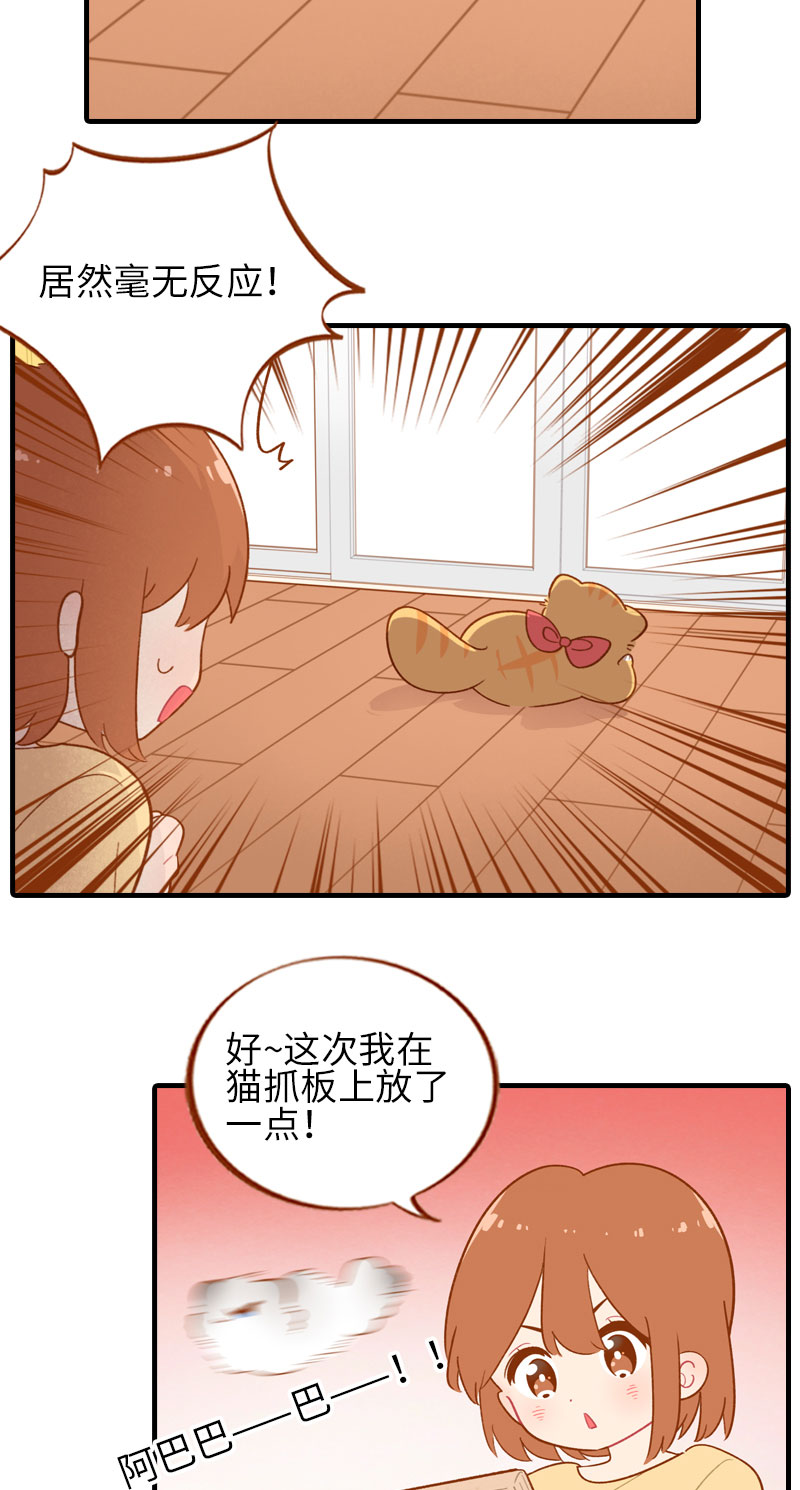 第46话 来一口猫薄荷5