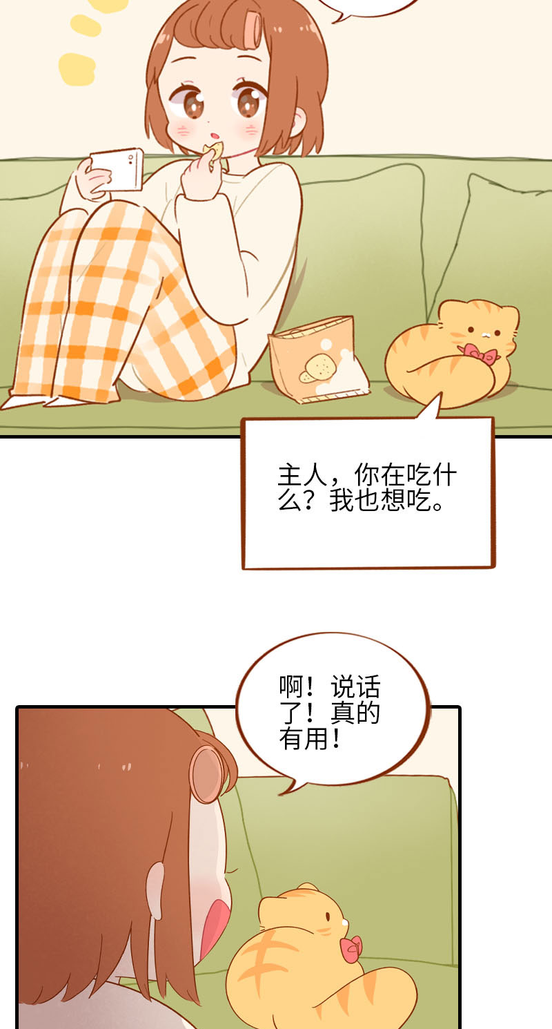 第53话 猫咪翻译机5