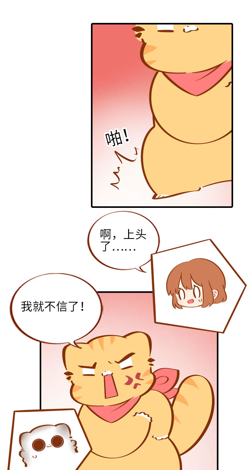 第38话 抽个盲盒7