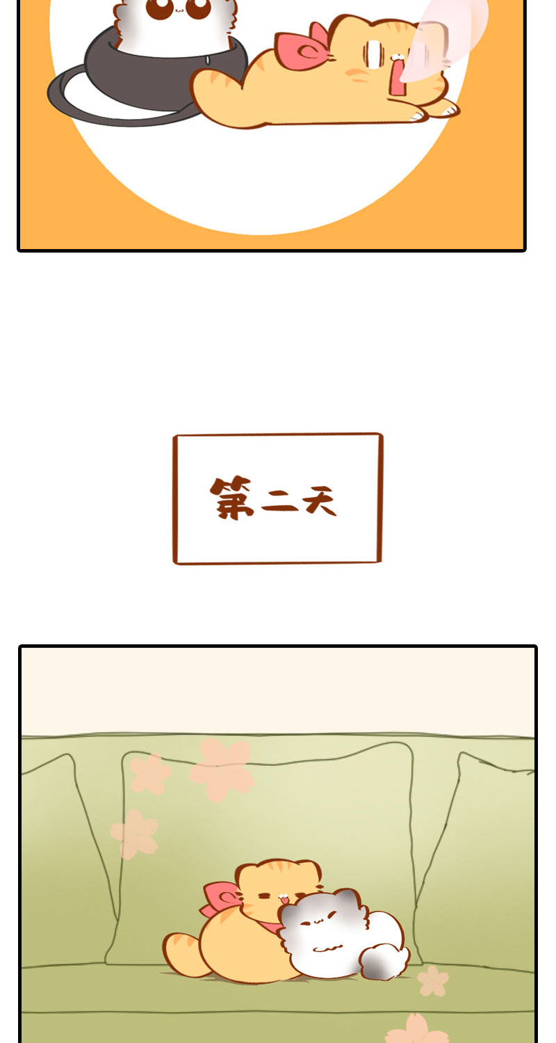 第36话 橘子！地位不保？！9