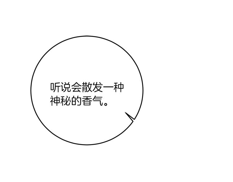 第28话 腐败的气息74