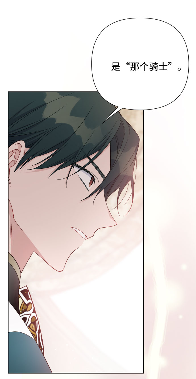 第45话 愚蠢的骑士，优秀的骑士42