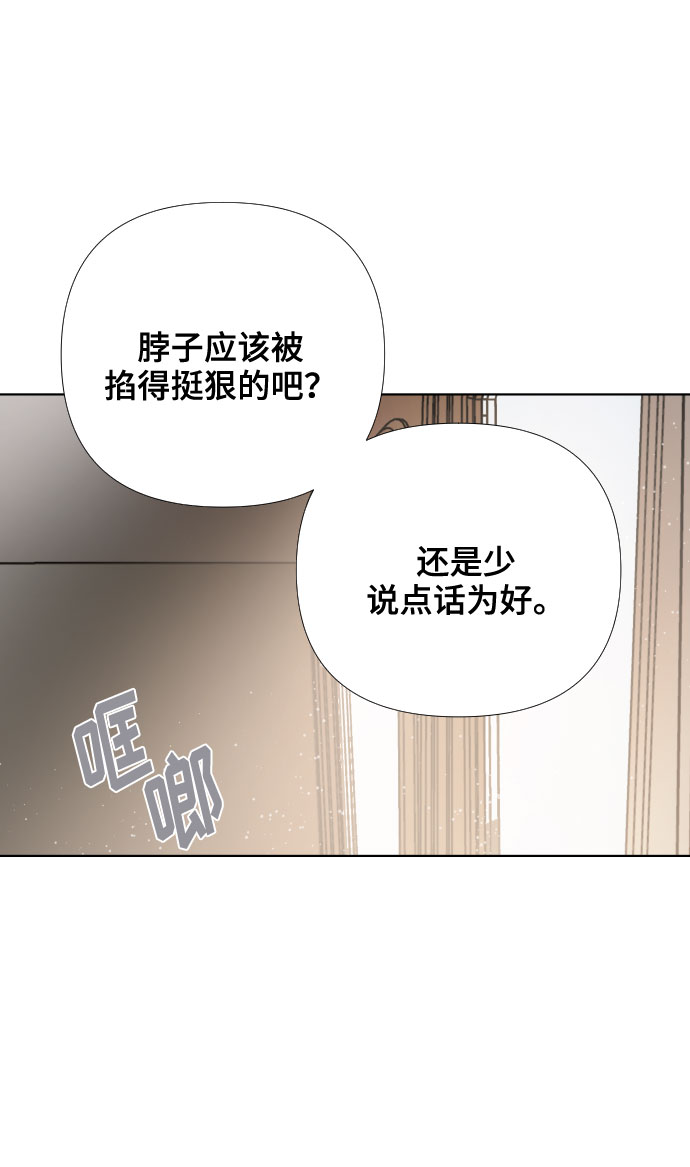 第11话 复仇之星2