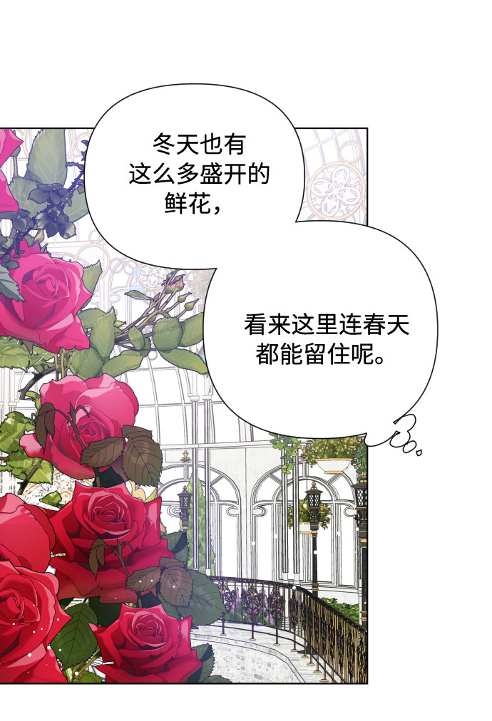 第42话 名媛们的茶话会（2）26