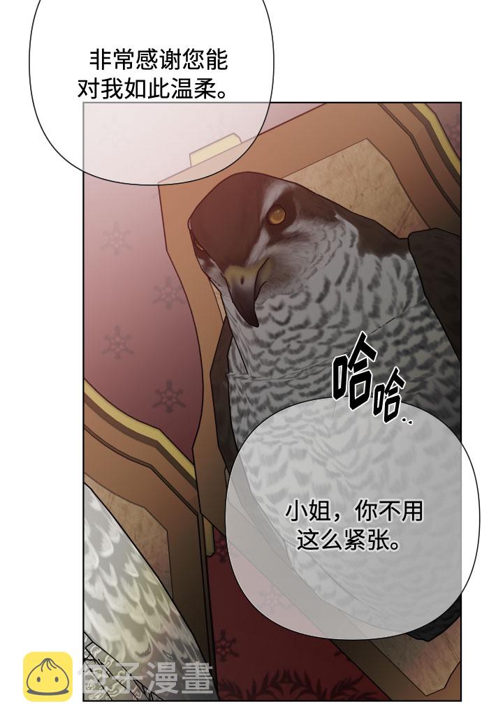 第77话 名媛的宿命2