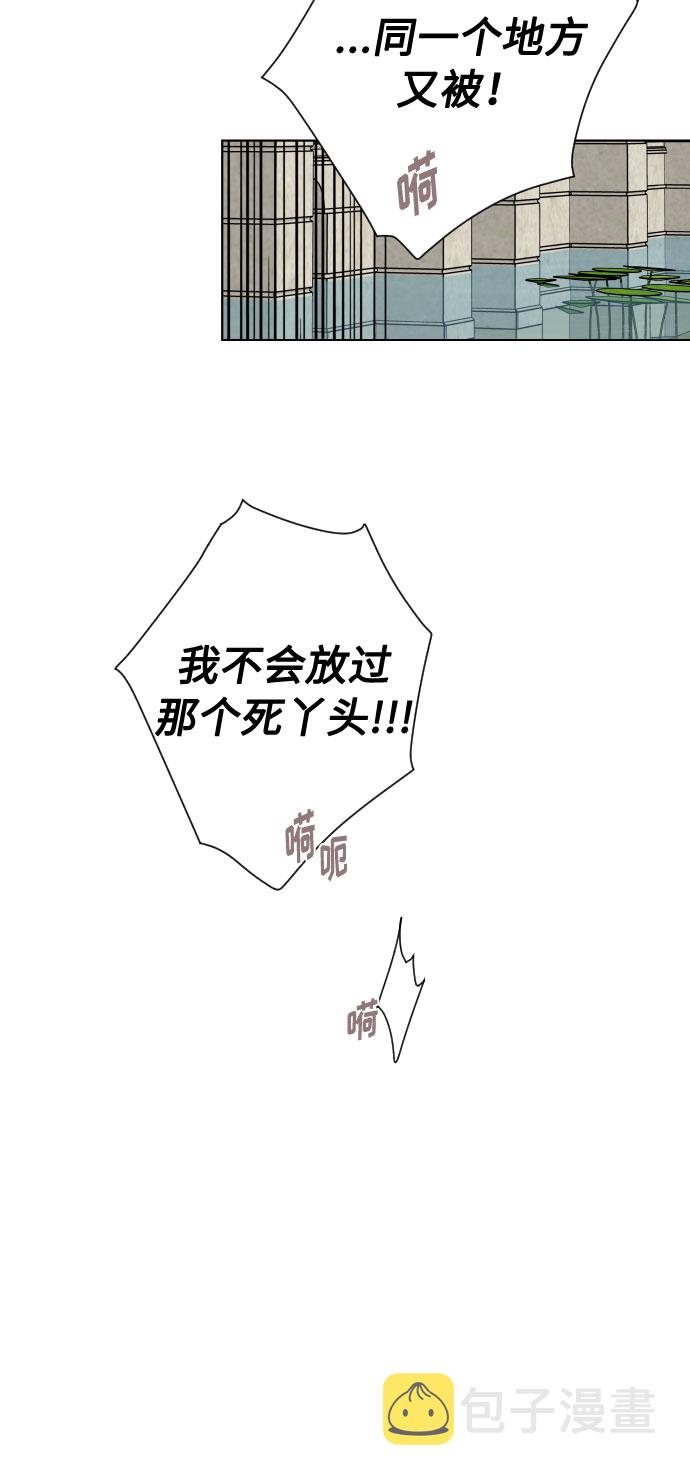 第77话 名媛的宿命62