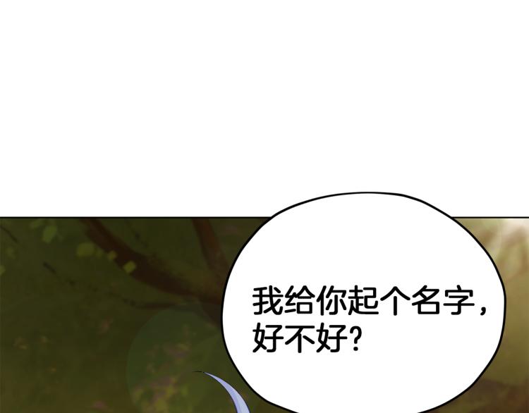 第39话 新夥伴178