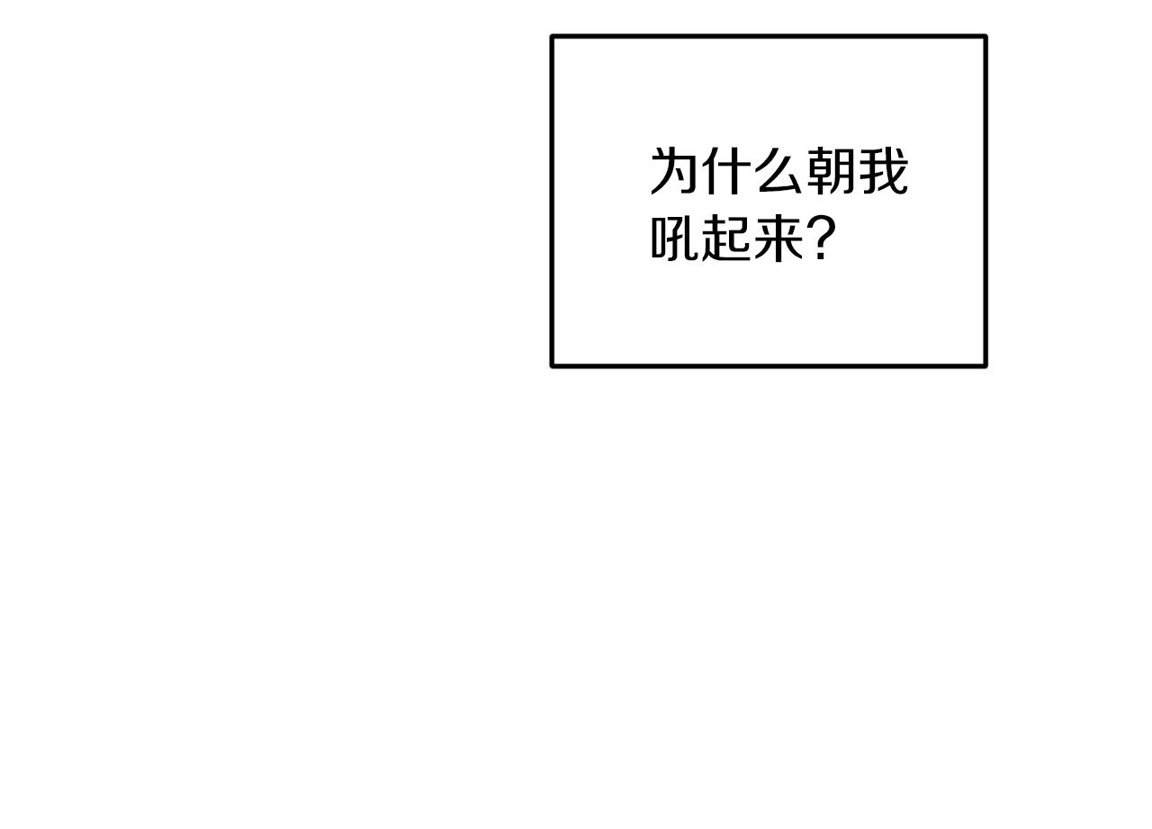 第66话 作战分工184