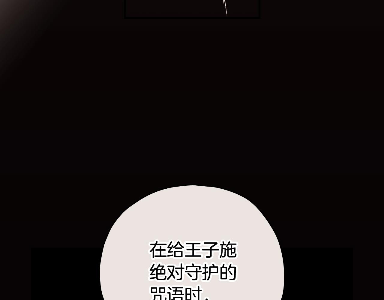第61话 保护你167