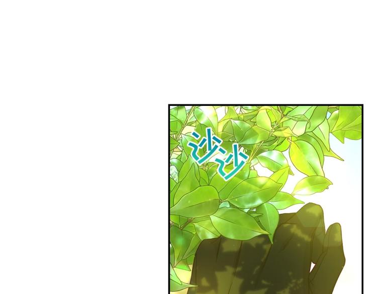 第一季完结话 护你周全133