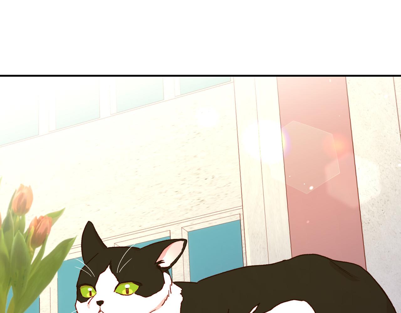 第55话 漫步街头98