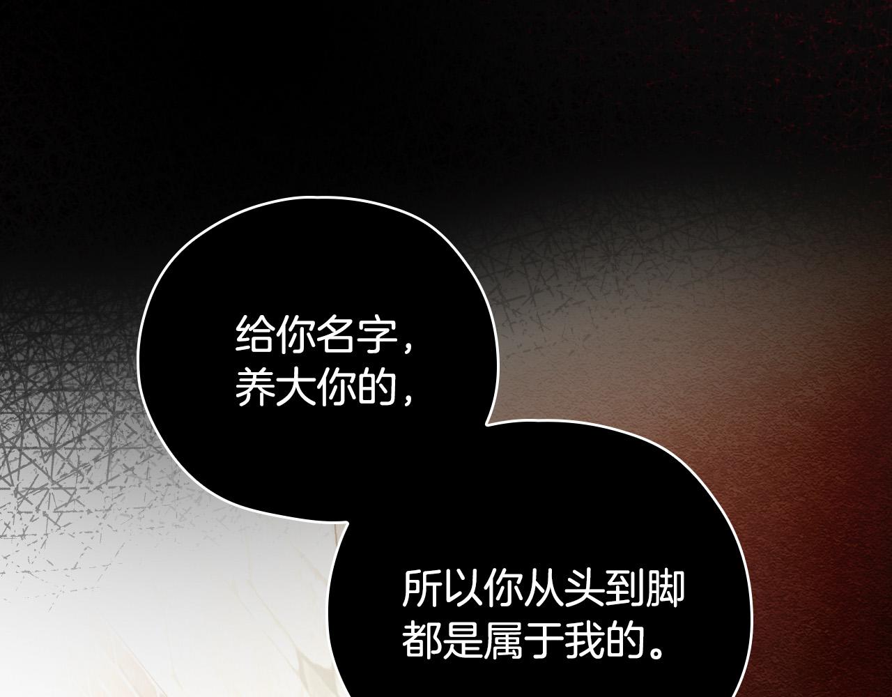 第71话 主人188