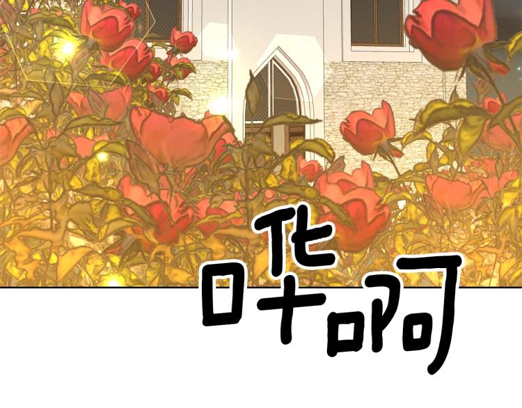 第15话 玫瑰园的浪漫约会33