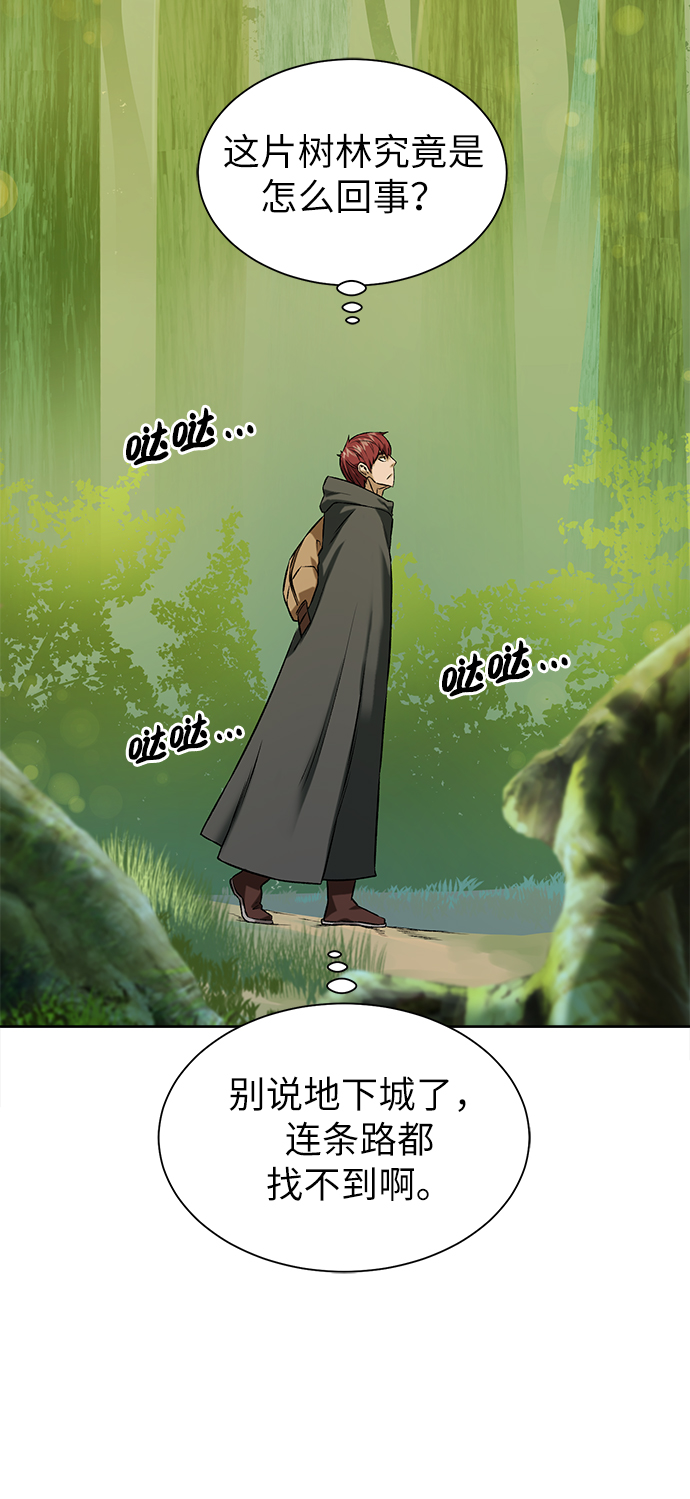 [第11话] 黑暗之林与精灵4