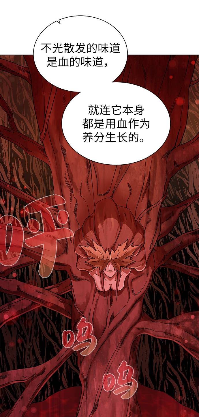 [第21话] 红树62