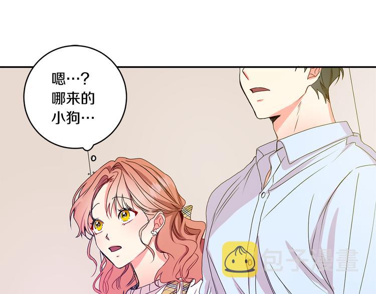 第5话 帮忙抓狗25