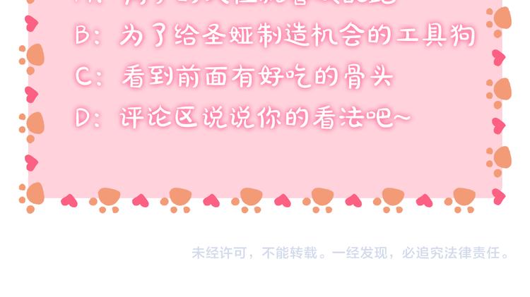第5话 帮忙抓狗163