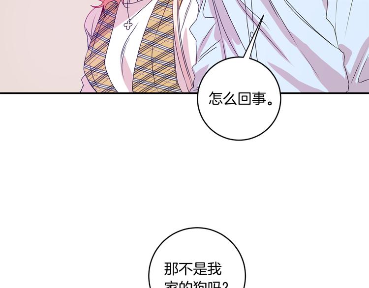 第5话 帮忙抓狗26