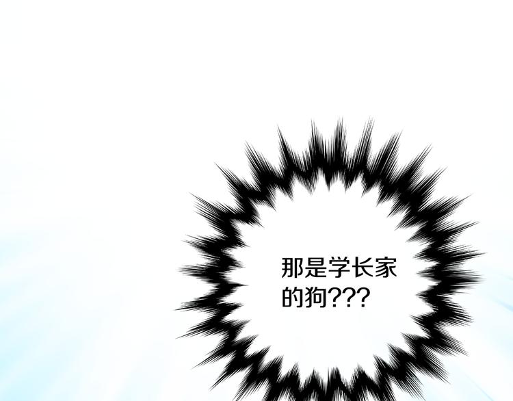 第5话 帮忙抓狗30